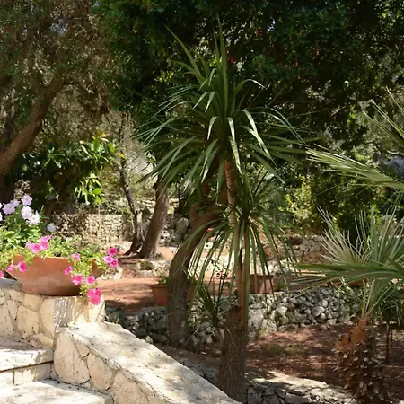 L'Antico Ulivo Villa Santa Cesarea Terme Exterior photo