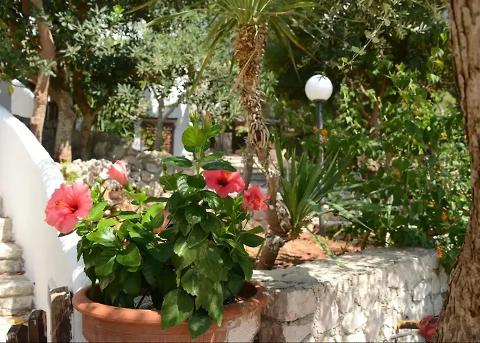 L\'Antico Ulivo