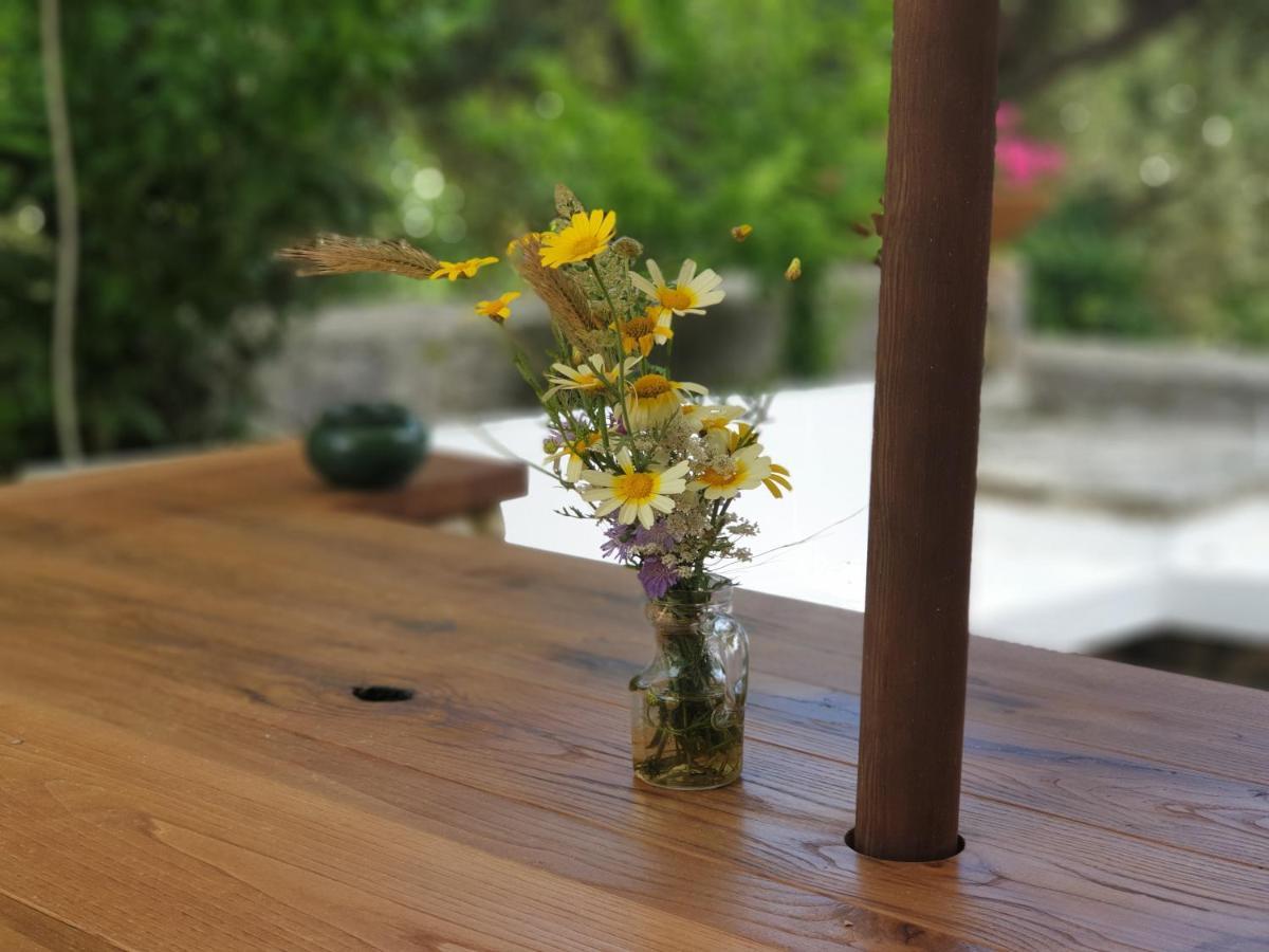 Holiday home L'antico Ulivo *