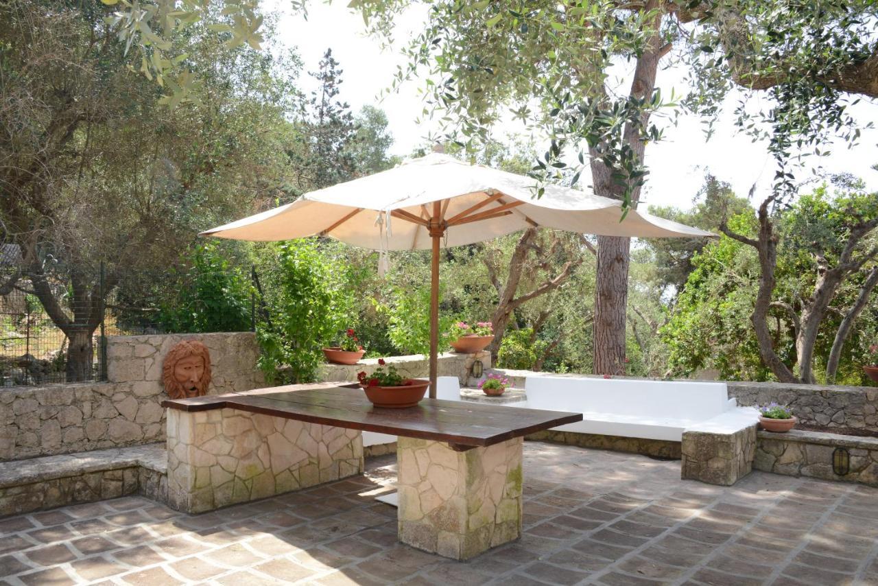 Holiday home L'antico Ulivo Santa Cesarea Terme