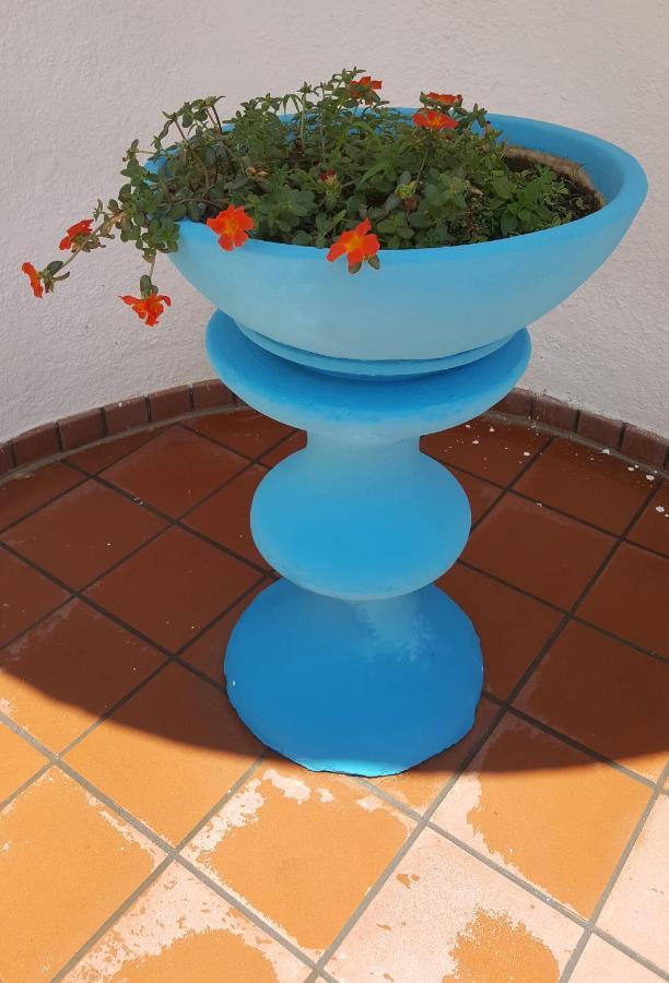 Holiday home L'antico Ulivo