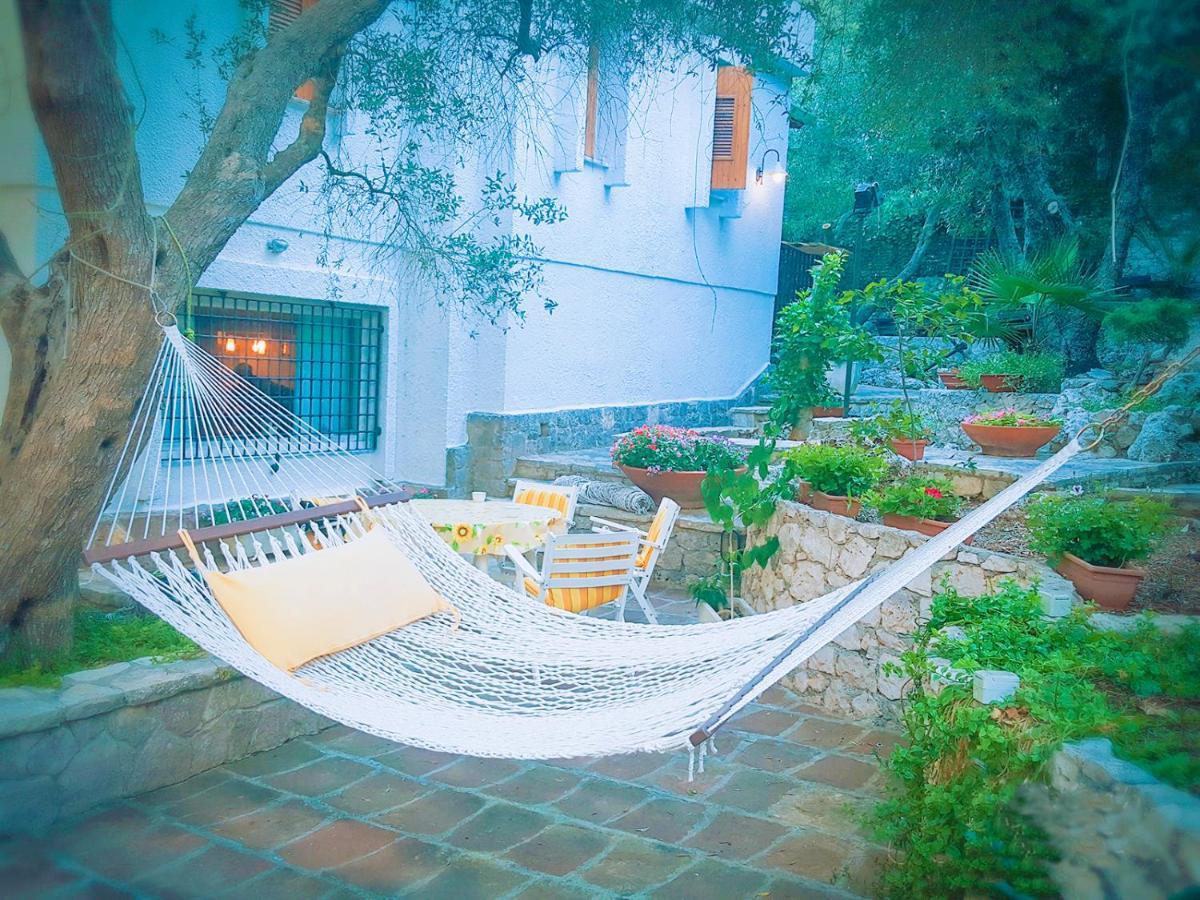 L'antico Ulivo Holiday home *