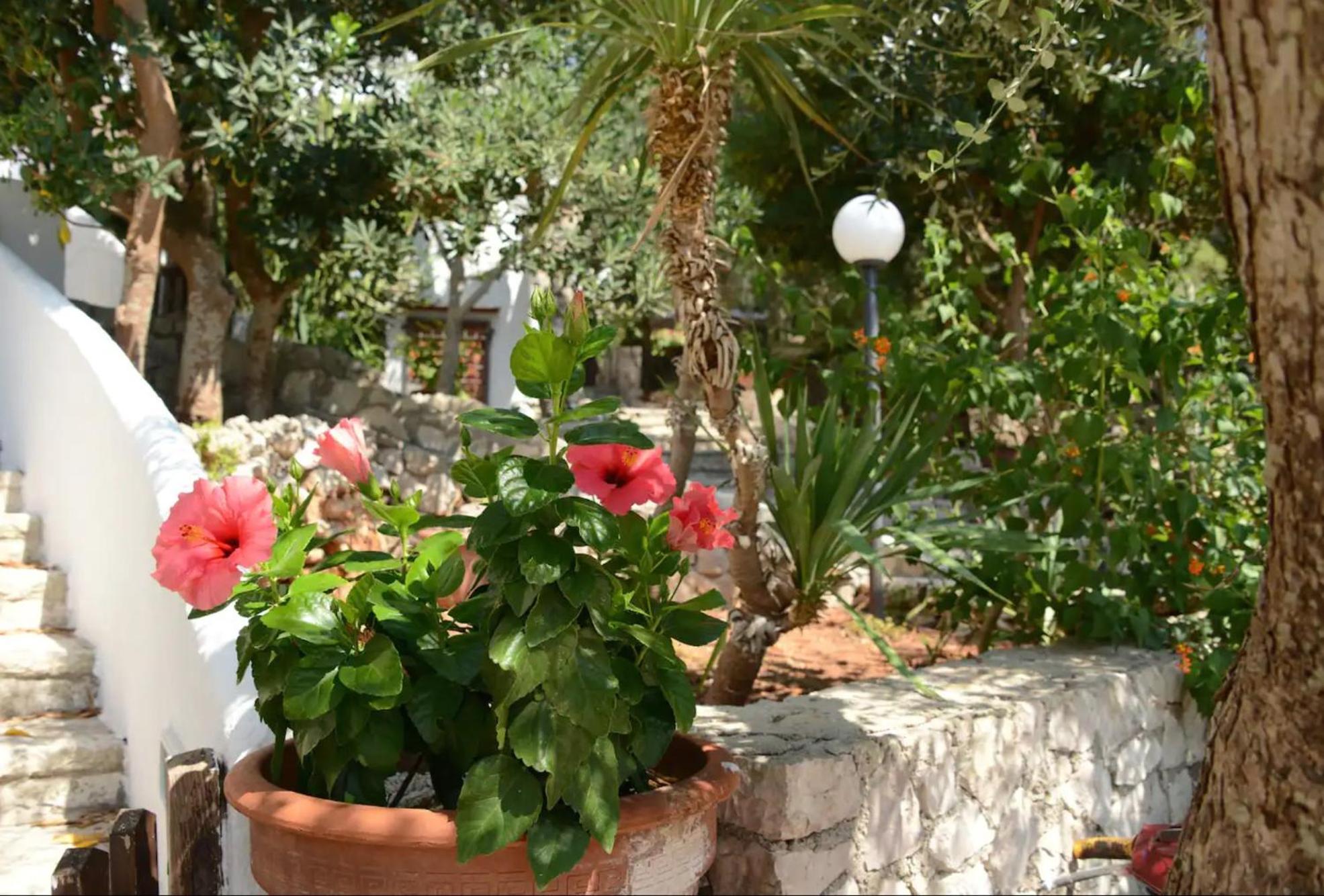 L'antico Ulivo Holiday home Santa Cesarea Terme