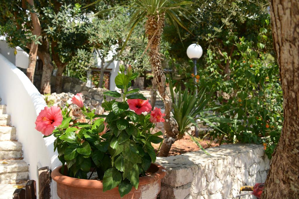 Holiday home L'antico Ulivo