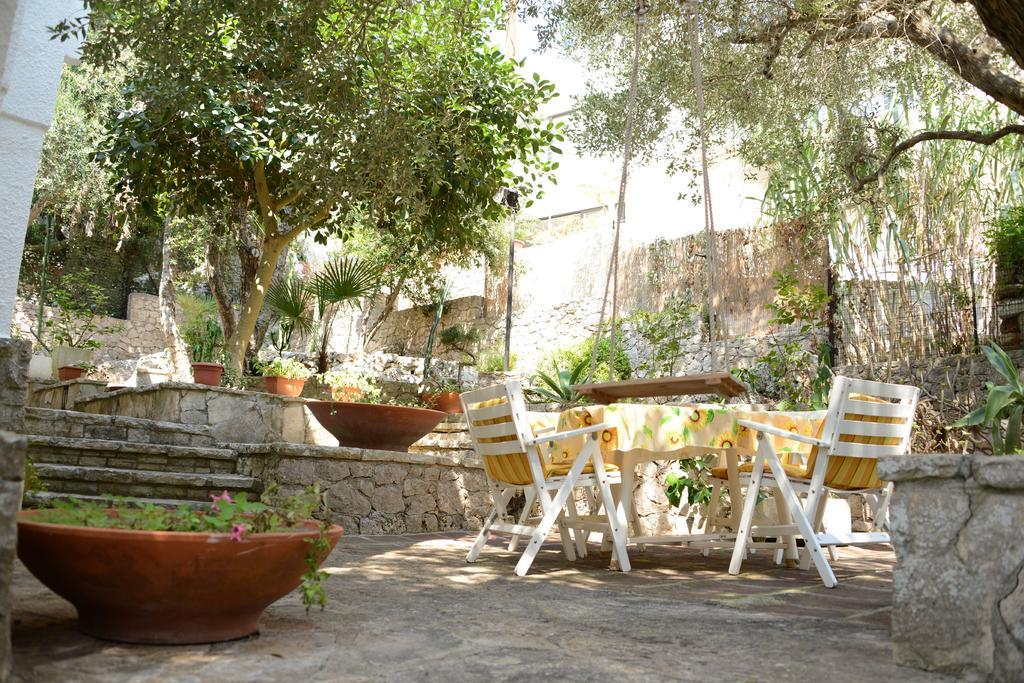 L'antico Ulivo * Santa Cesarea Terme
